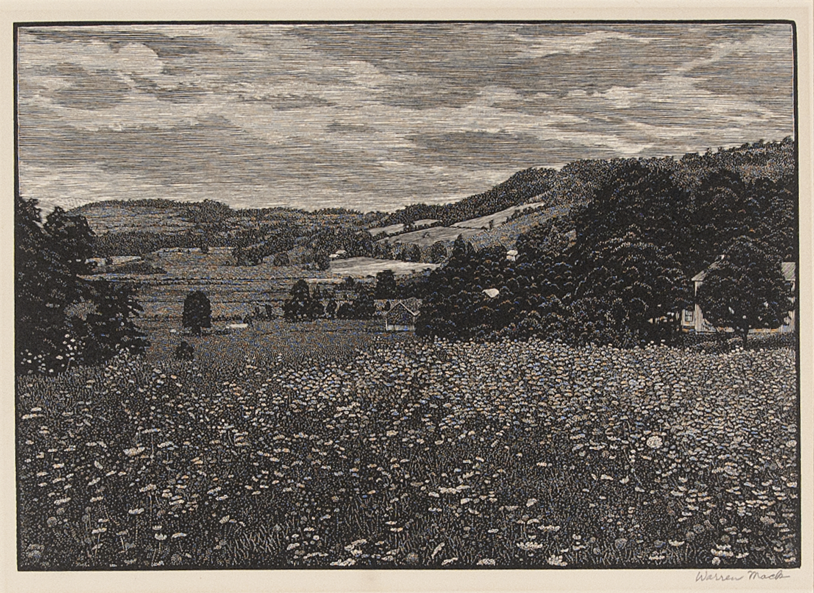 Queen Anne's Lace by Warren Bryan Mack.